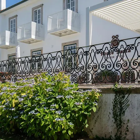 Fonte Santa Manor House וילה נובה דה גאיה