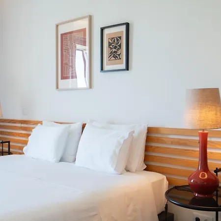 Fonte Santa Manor House 4* فيلا نوفا دي غايا